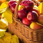 Apples in fall setting